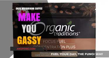 Mushroom Coffee and Gas: Debunking the Bloating Myth