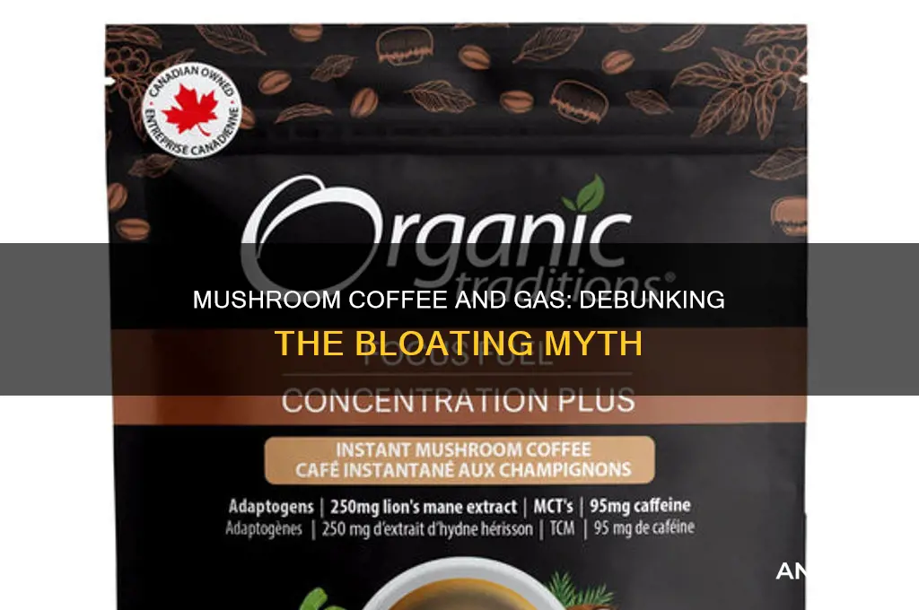 does mushroom coffee make you gassy
