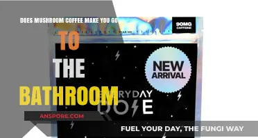 Mushroom Coffee and Digestion: Does It Increase Bathroom Trips?