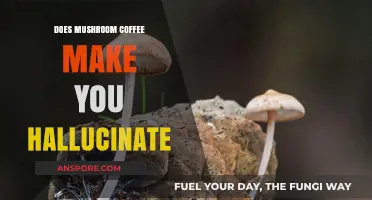 Mushroom Coffee Hallucinations: Fact or Fiction? Unveiling the Truth