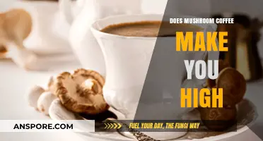 Mushroom Coffee Buzz: Does It Really Make You High?