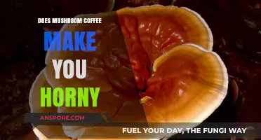 Mushroom Coffee and Libido: Fact or Fiction? Exploring the Buzz