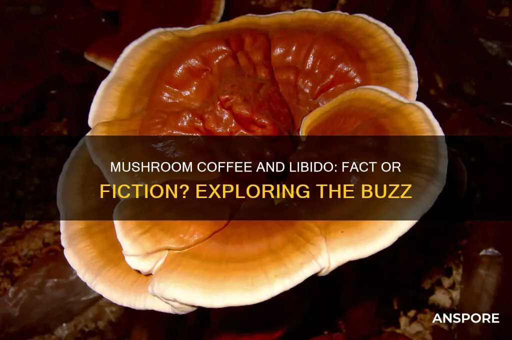 does mushroom coffee make you horny