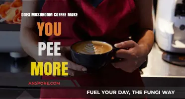 Mushroom Coffee and Urination: Does It Increase Bathroom Trips?