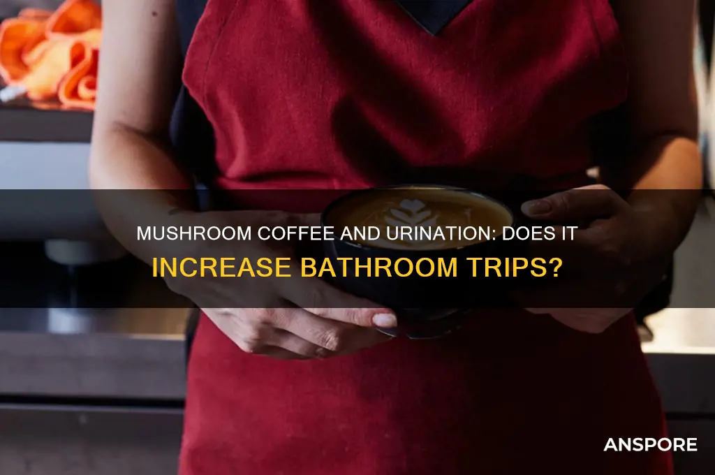 does mushroom coffee make you pee more