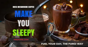 Mushroom Coffee and Sleep: Does It Induce Drowsiness or Energy?