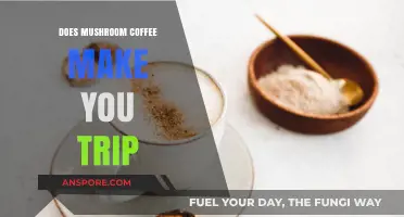 Mushroom Coffee: Does It Induce Trips or Just Boost Energy?