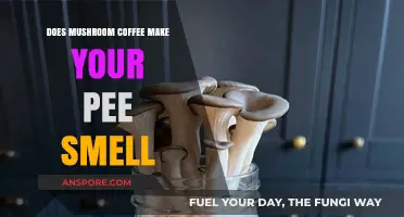 Mushroom Coffee and Pee Odor: Uncovering the Truth Behind the Smell