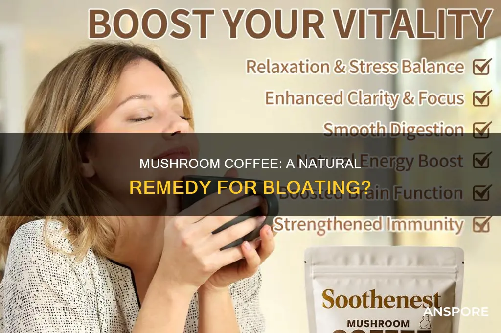 does mushroom coffee really help with bloating
