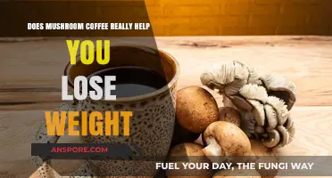 Mushroom Coffee for Weight Loss: Fact or Fiction?