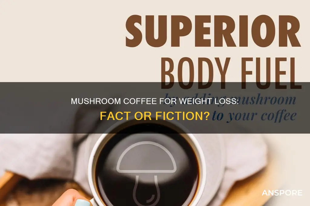 does mushroom coffee really help you lose weight