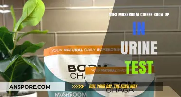 Mushroom Coffee: Will It Affect Your Urine Test?