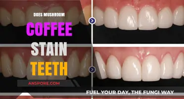 Mushroom Coffee and Teeth Stains: What's the Truth?