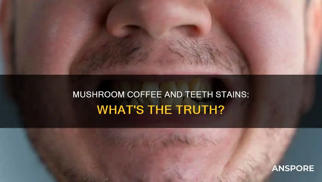 does mushroom coffee stain teeth