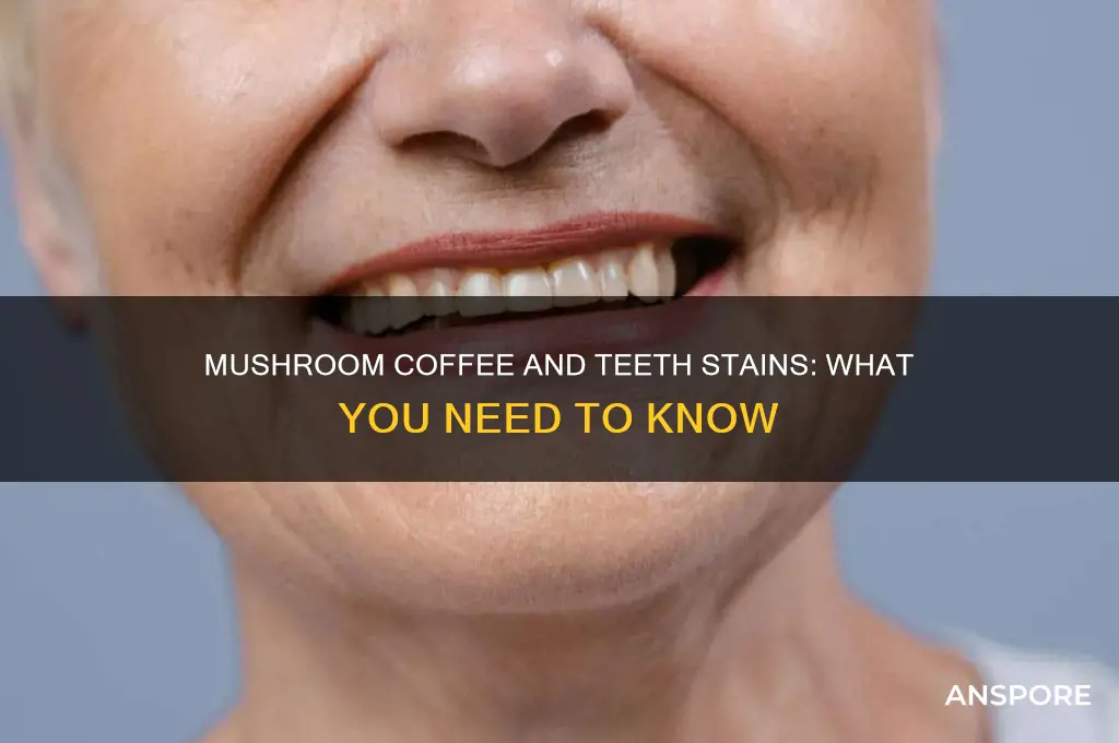 does mushroom coffee stain your teeth