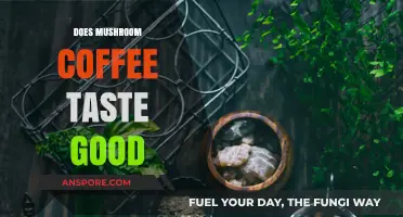 Mushroom Coffee Taste Test: Is It Delicious or Disappointing?