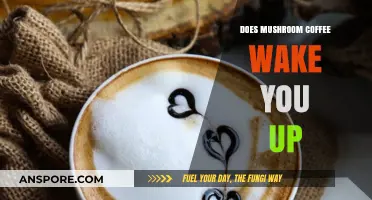 Mushroom Coffee: A Natural Morning Wake-Up Call?