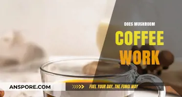 Mushroom Coffee: Does It Work?