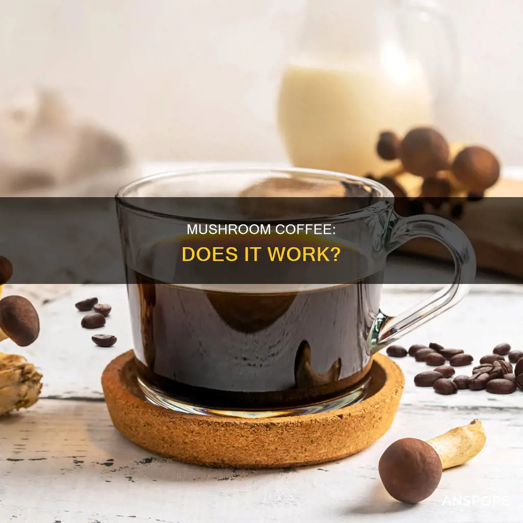 does mushroom coffee work