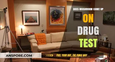 Mushrooms and Drug Tests: What You Need to Know