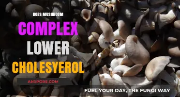 Mushroom Complex: A Natural Way to Lower Cholesterol?