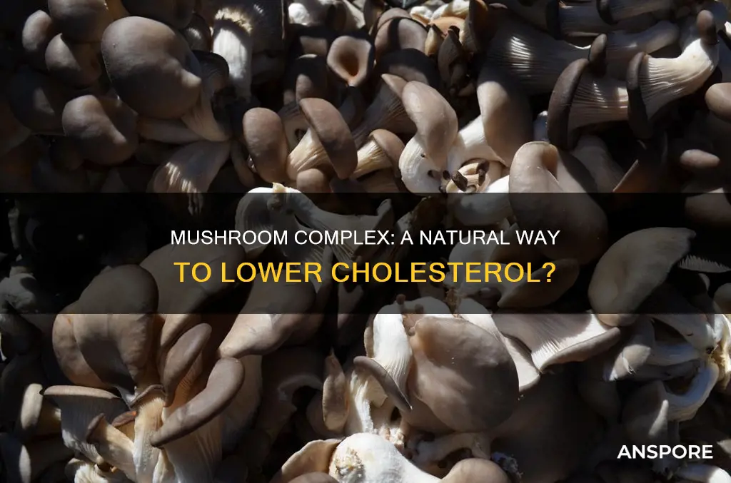 does mushroom complex lower cholesyerol