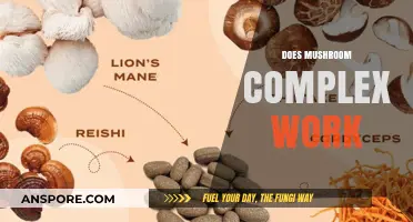 Mushroom Complex: Does It Work?