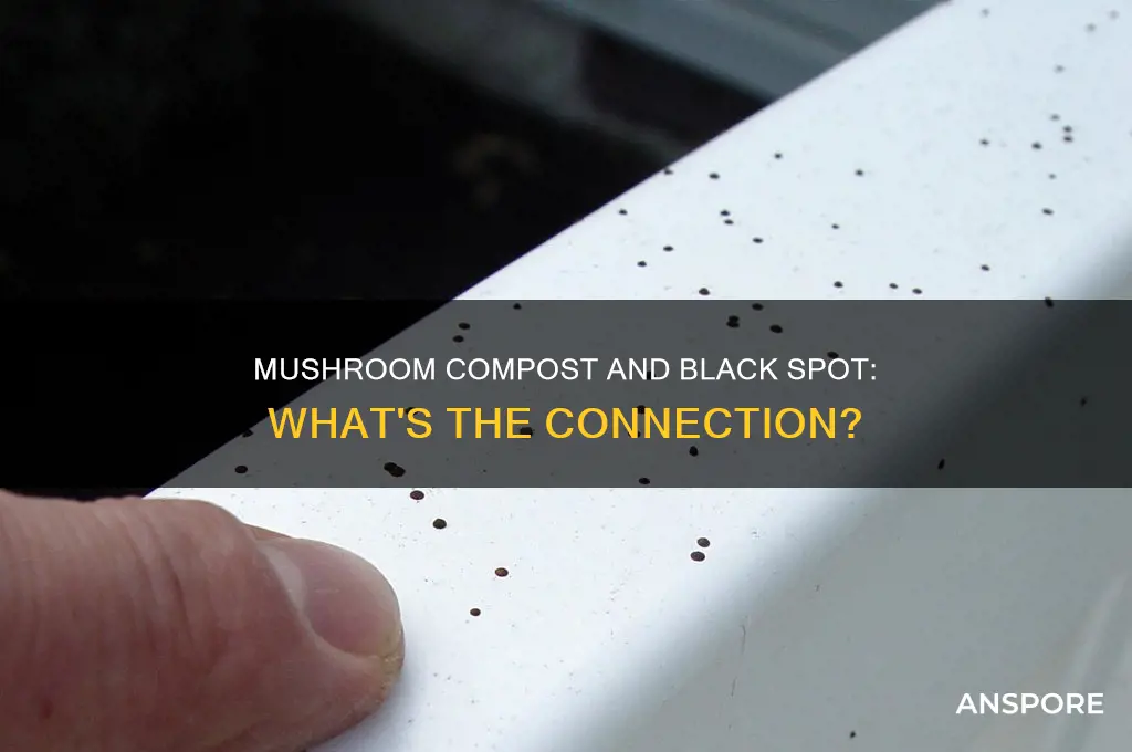 does mushroom compost carry black spot