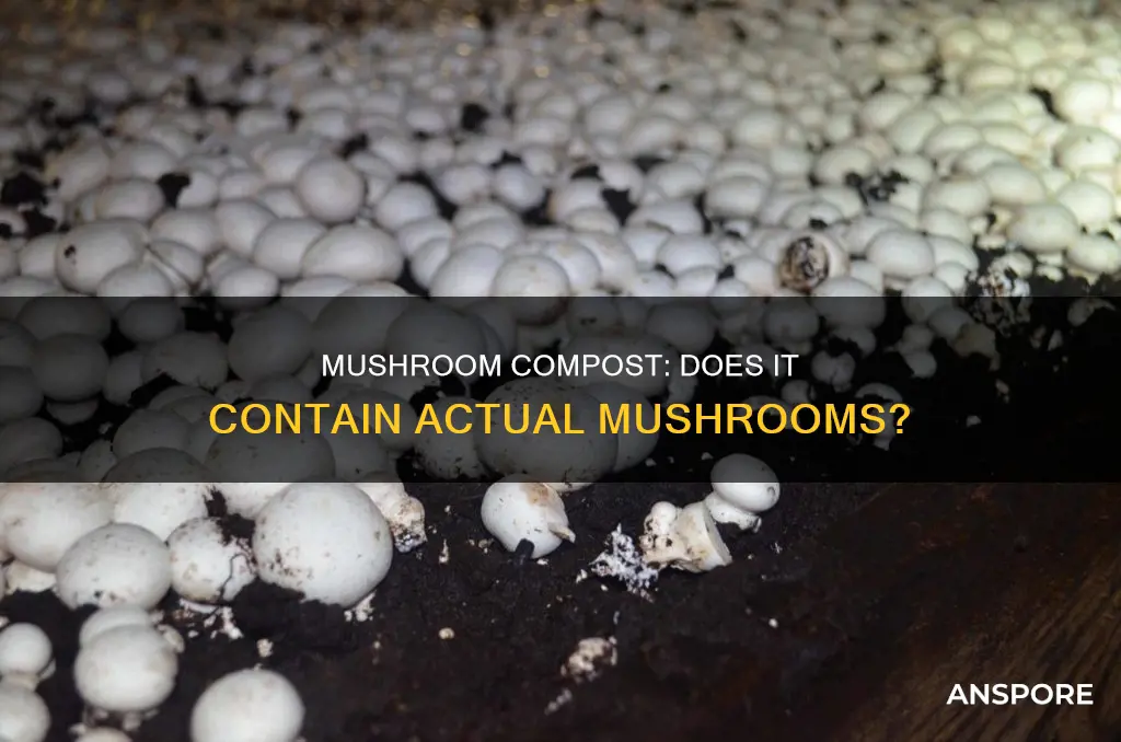 does mushroom compost contain mushrooms