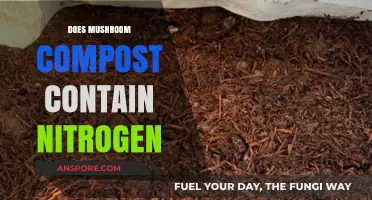 Mushroom Compost: Nitrogen-Rich Superfood for Your Garden?