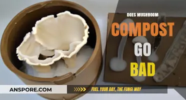 Does Mushroom Compost Expire? Shelf Life and Storage Tips Revealed