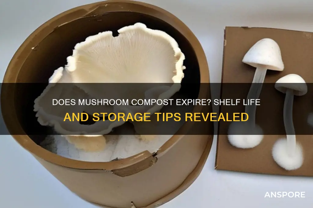 does mushroom compost go bad
