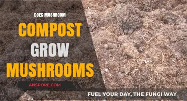 Can Mushroom Compost Actually Grow Mushrooms in Your Garden?