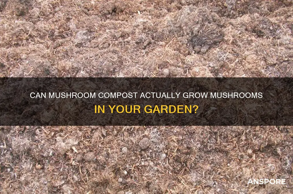 does mushroom compost grow mushrooms