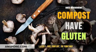 Mushroom Compost: Is It Gluten-Free?