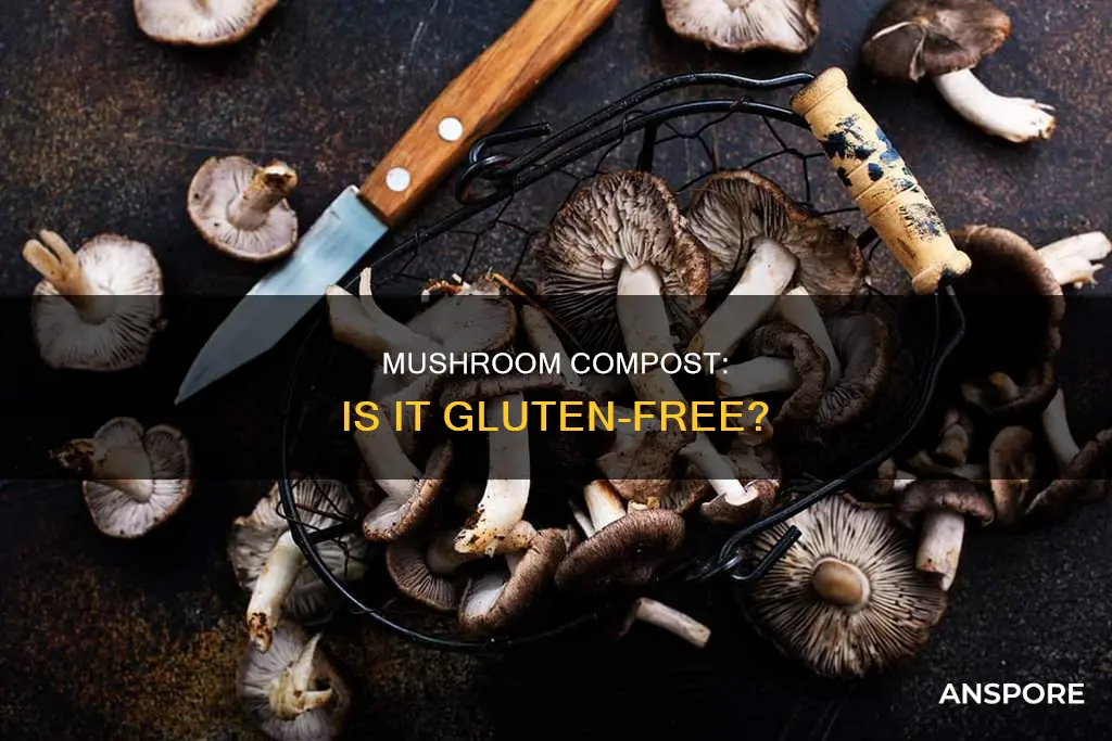 does mushroom compost have gluten