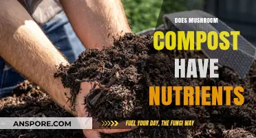 Mushroom Compost: A Nutrient-Rich Superfood for Your Garden?