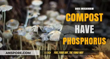 Mushroom Compost: A Rich Source of Phosphorus?