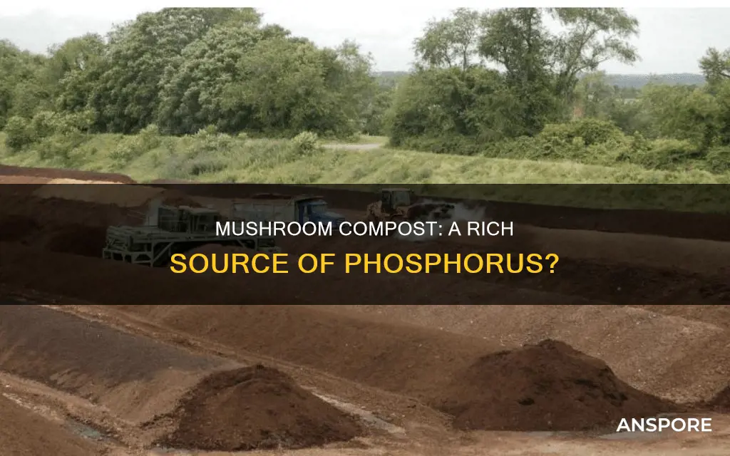 does mushroom compost have phosphorus