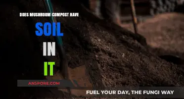 Mushroom Compost: What's in the Mix?