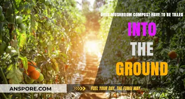 How to Use Mushroom Compost for Gardening Success