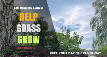 Boost Your Lawn: Mushroom Compost's Impact on Grass Growth Explained