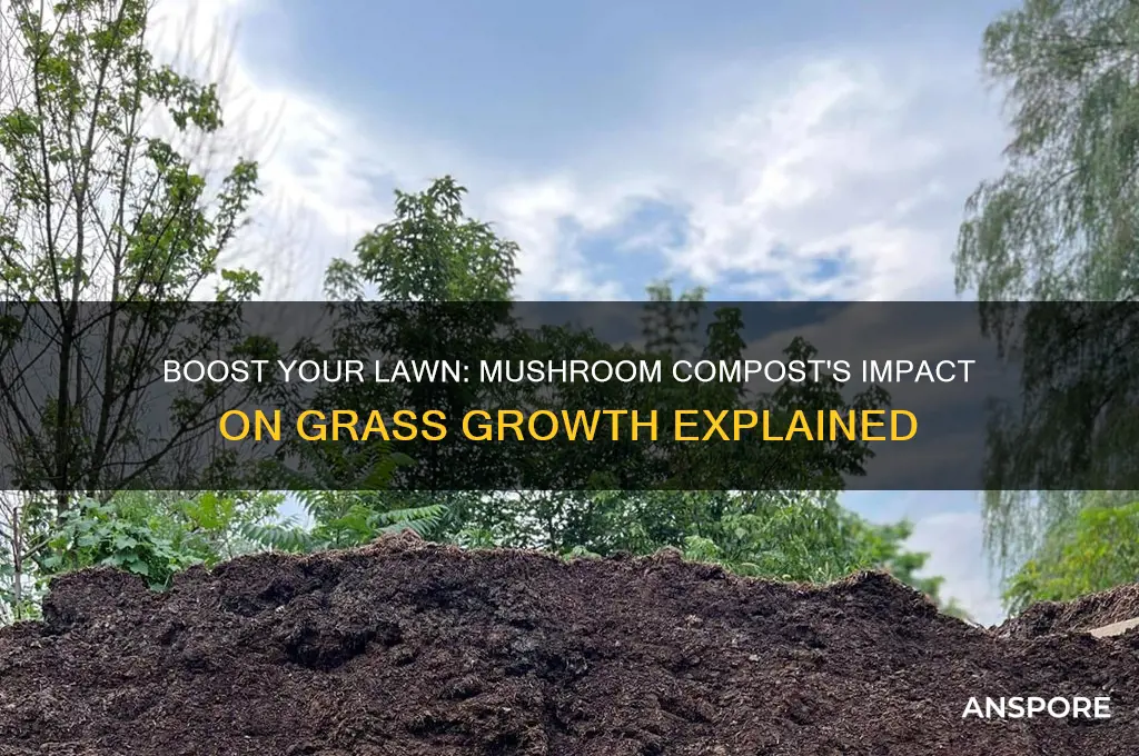 does mushroom compost help grass grow
