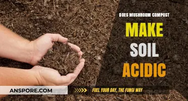 Mushroom Compost and Soil pH: Does It Make Soil Acidic?