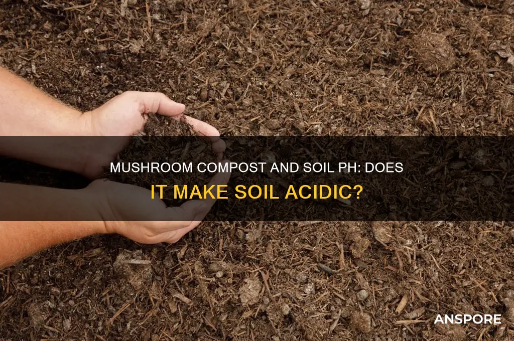 does mushroom compost make soil acidic