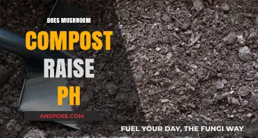 How Mushroom Compost Affects Soil pH