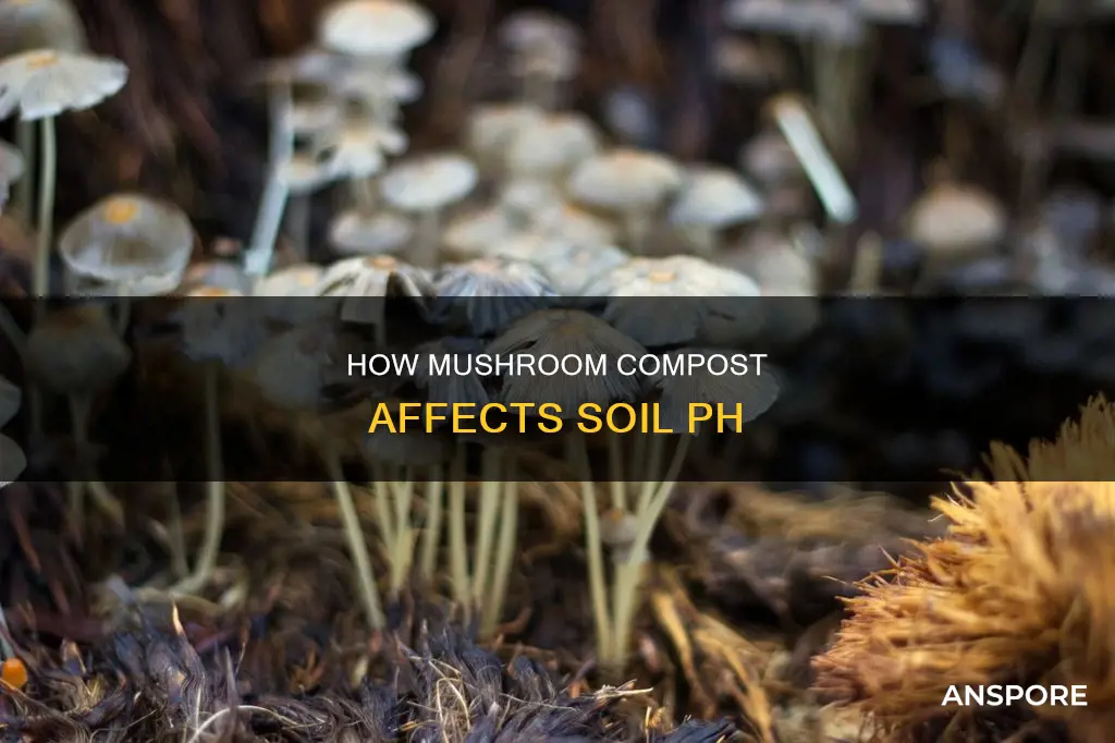 does mushroom compost raise ph