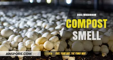 Mushroom Compost: Does It Smell Bad?