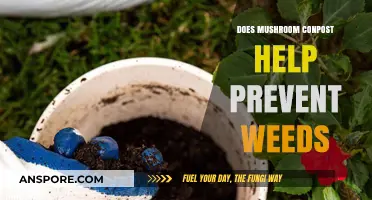 Mushroom Compost: Natural Weed Prevention Method?