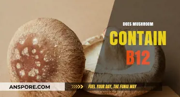 Mushrooms and B12: What's the Deal?